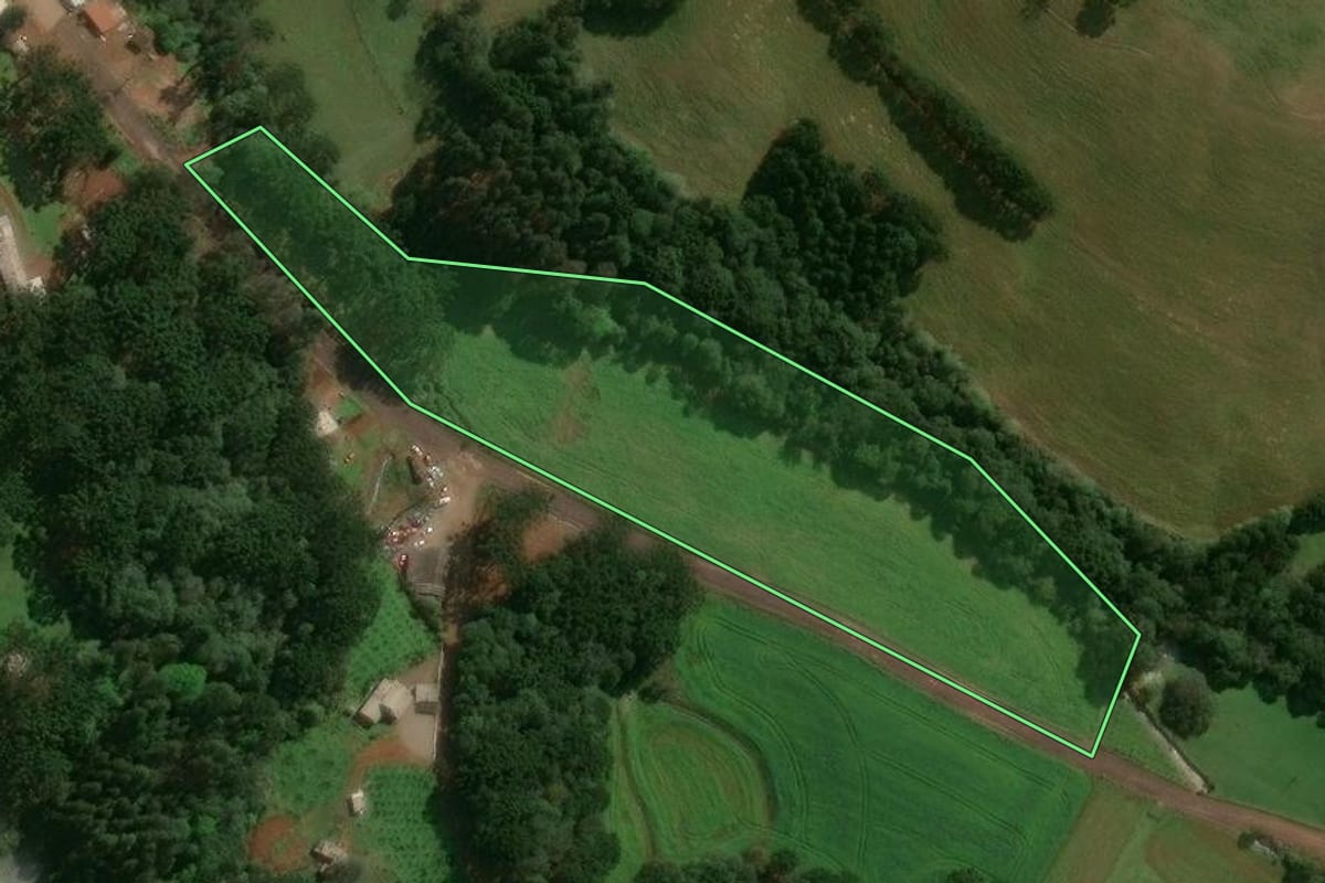 Imagem de satélite do imóvel rural em Tupanci do Sul (RS), com o contorno declarado no CAR desenhado por cima.