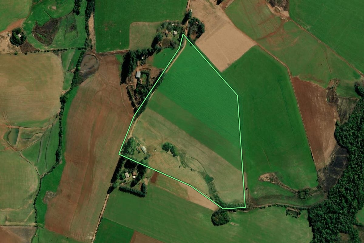Imagem de satélite do imóvel rural em Tupanciretã (RS), com o contorno declarado no CAR desenhado por cima.