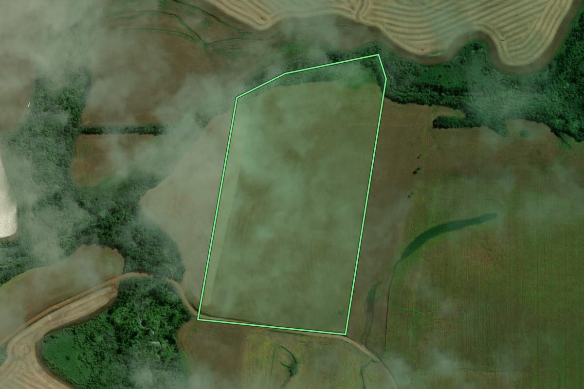 Imagem de satélite do imóvel rural em Tupanciretã (RS), com o contorno declarado no CAR desenhado por cima.