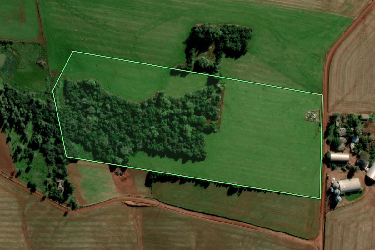 Imagem de satélite do imóvel rural em Tupanciretã (RS), com o contorno declarado no CAR desenhado por cima.