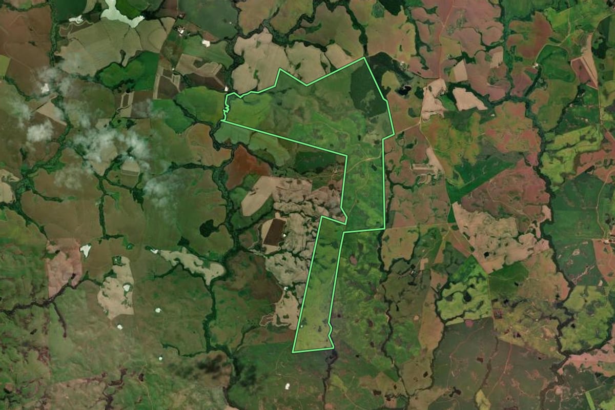 Imagem de satélite do imóvel rural em Tupanciretã (RS), com o contorno declarado no CAR desenhado por cima.
