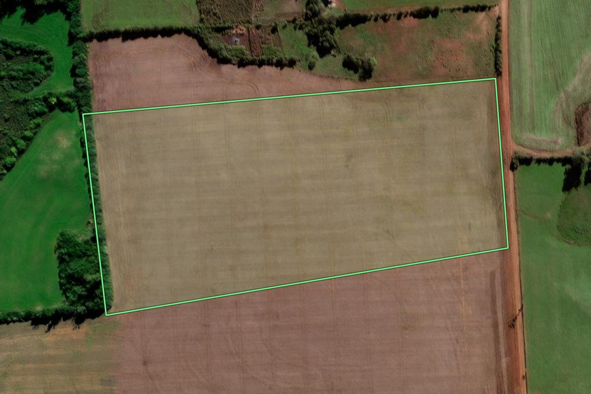 Imagem de satélite do imóvel rural em Tupanciretã (RS), com o contorno declarado no CAR desenhado por cima.