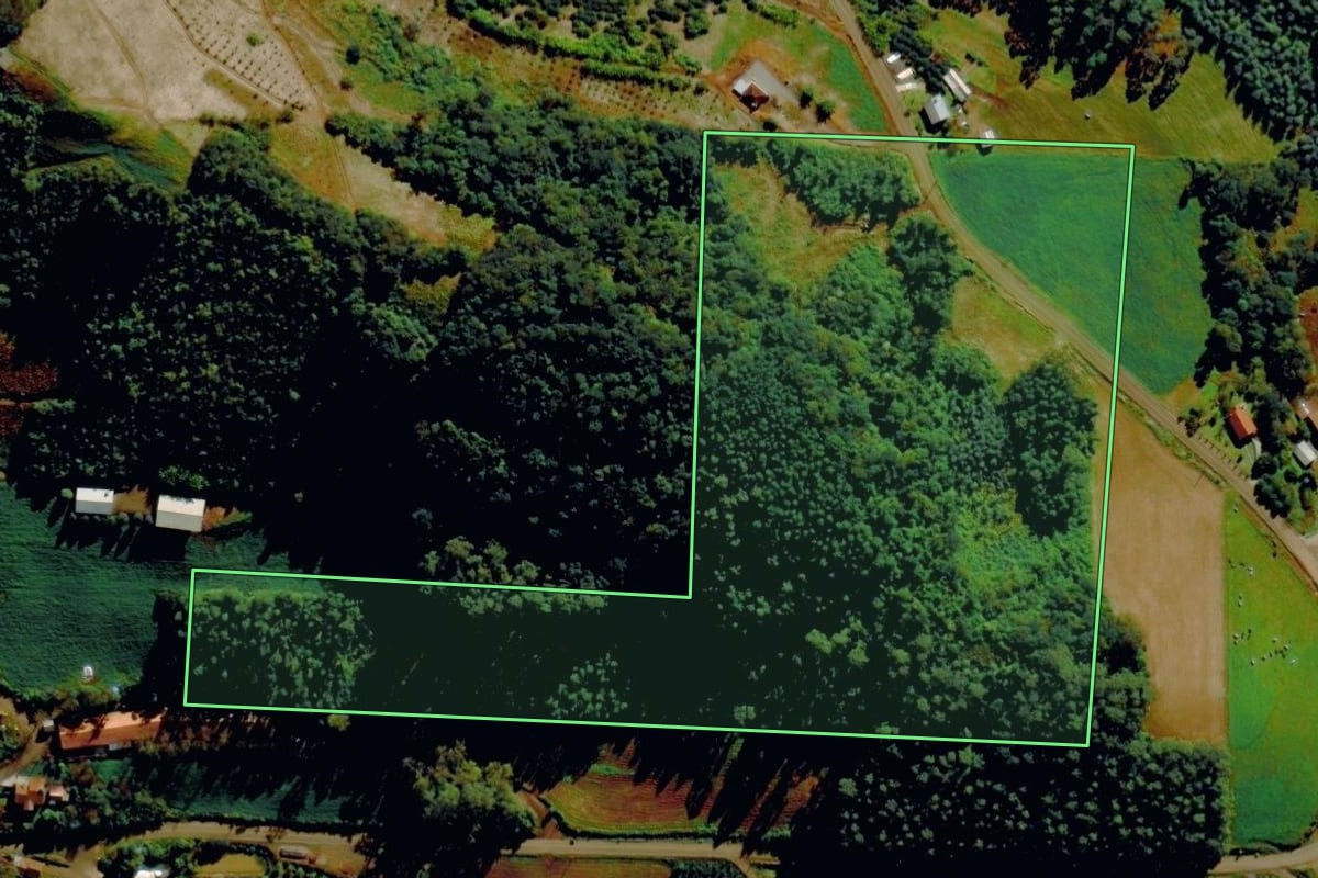 Imagem de satélite do imóvel rural em Tupandi (RS), com o contorno declarado no CAR desenhado por cima.