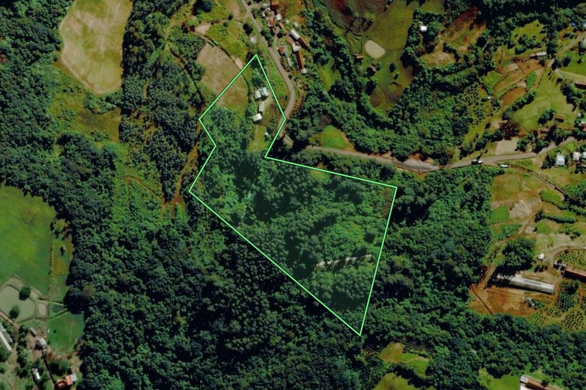 Imagem de satélite do imóvel rural em Tupandi (RS), com o contorno declarado no CAR desenhado por cima.