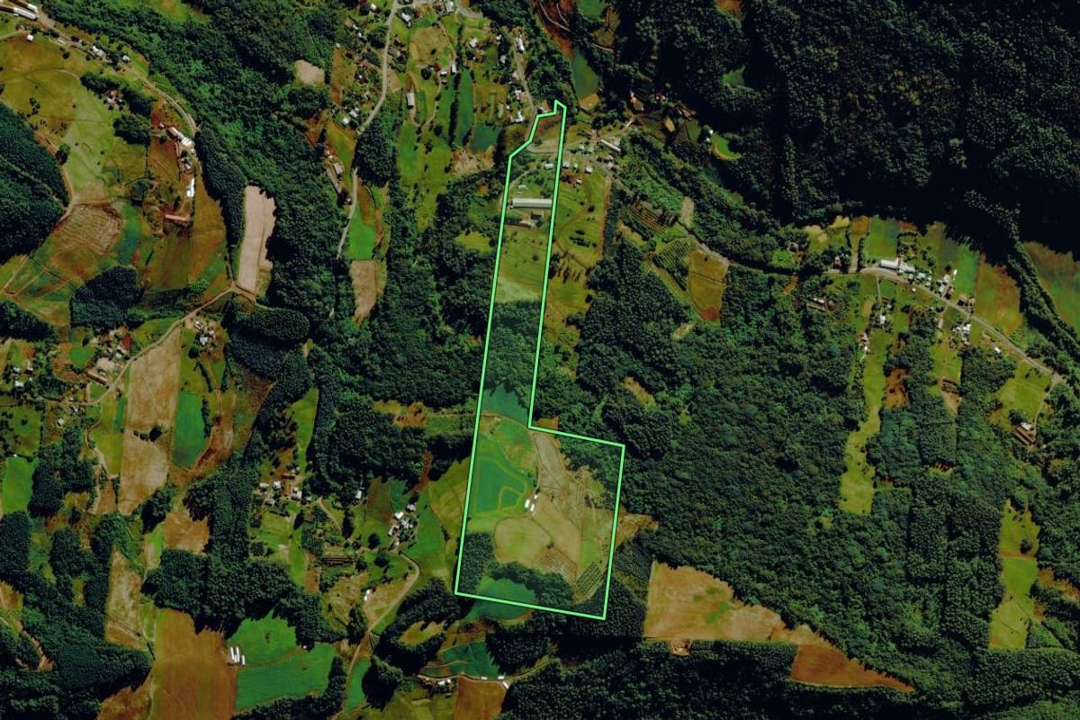 Imagem de satélite do imóvel rural em Tupandi (RS), com o contorno declarado no CAR desenhado por cima.