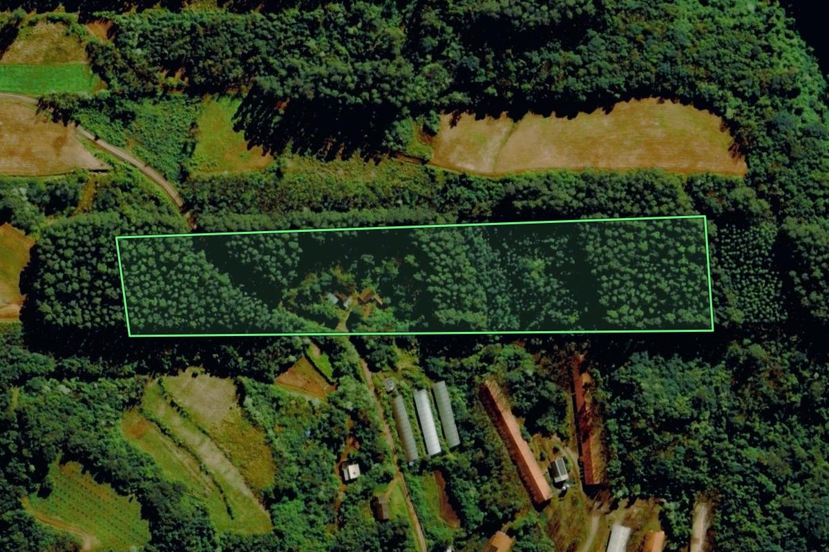 Imagem de satélite do imóvel rural em Tupandi (RS), com o contorno declarado no CAR desenhado por cima.