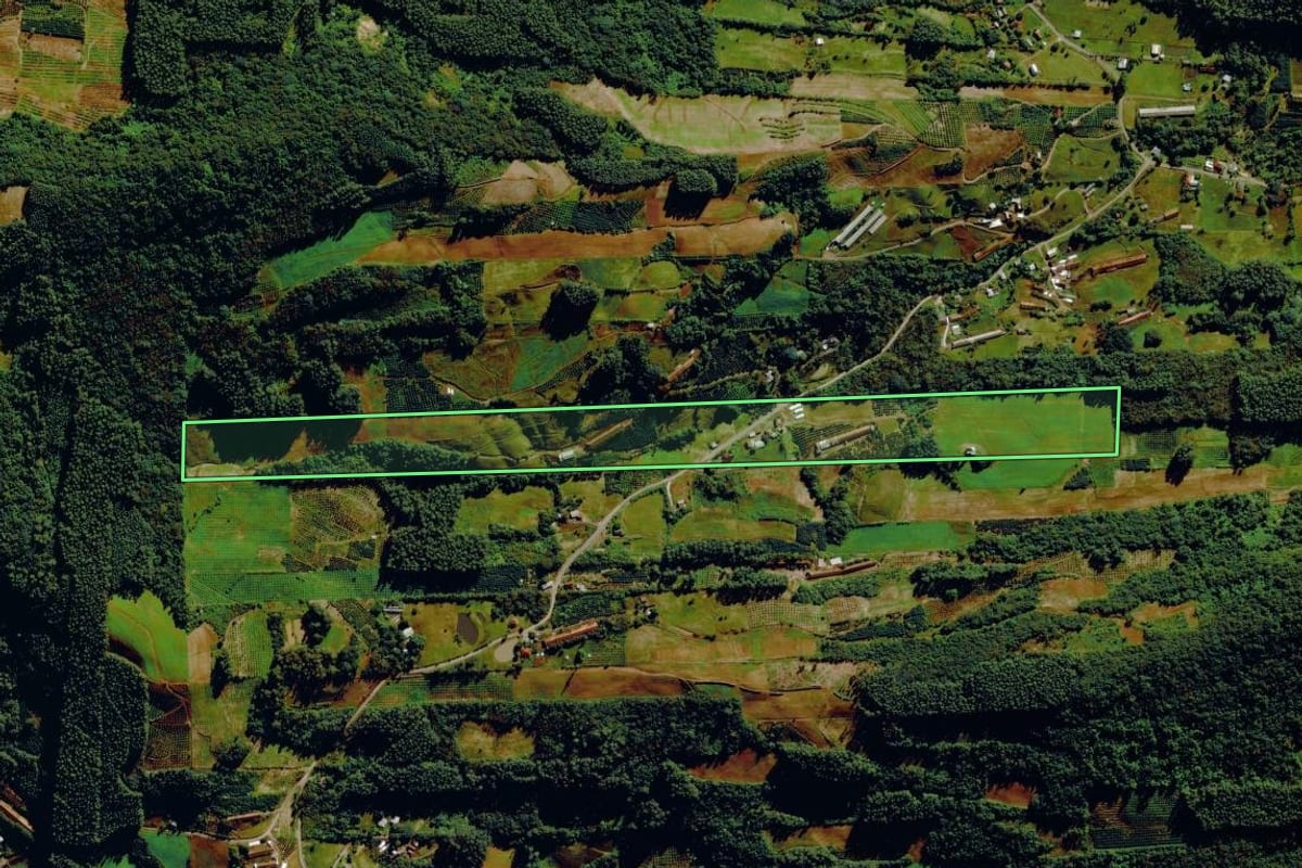 Imagem de satélite do imóvel rural em Tupandi (RS), com o contorno declarado no CAR desenhado por cima.