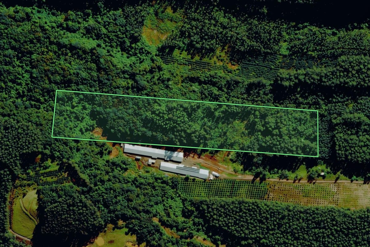 Imagem de satélite do imóvel rural em Tupandi (RS), com o contorno declarado no CAR desenhado por cima.