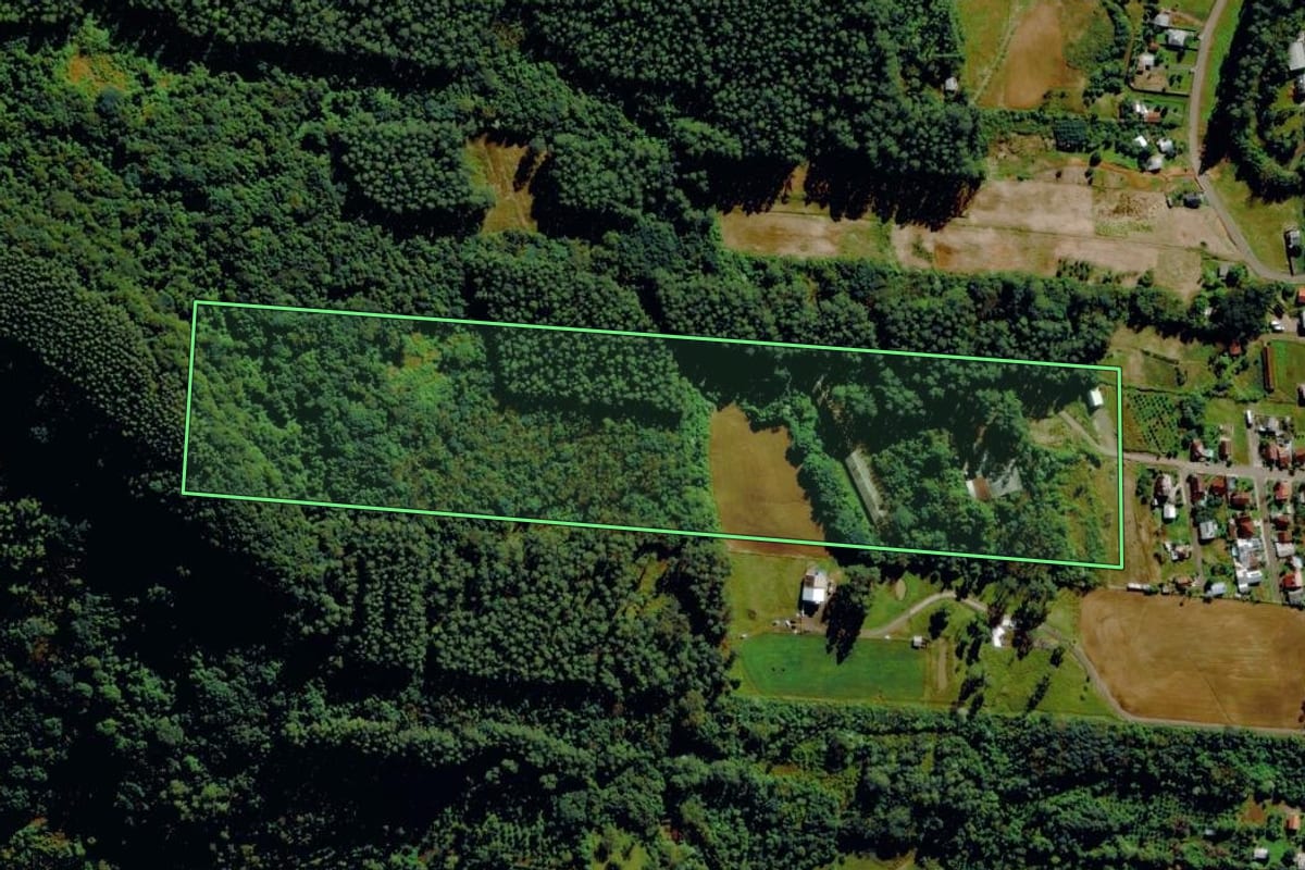 Imagem de satélite do imóvel rural em Tupandi (RS), com o contorno declarado no CAR desenhado por cima.