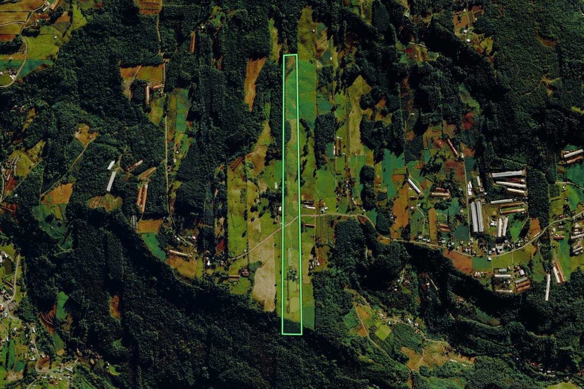 Imagem de satélite do imóvel rural em Tupandi (RS), com o contorno declarado no CAR desenhado por cima.