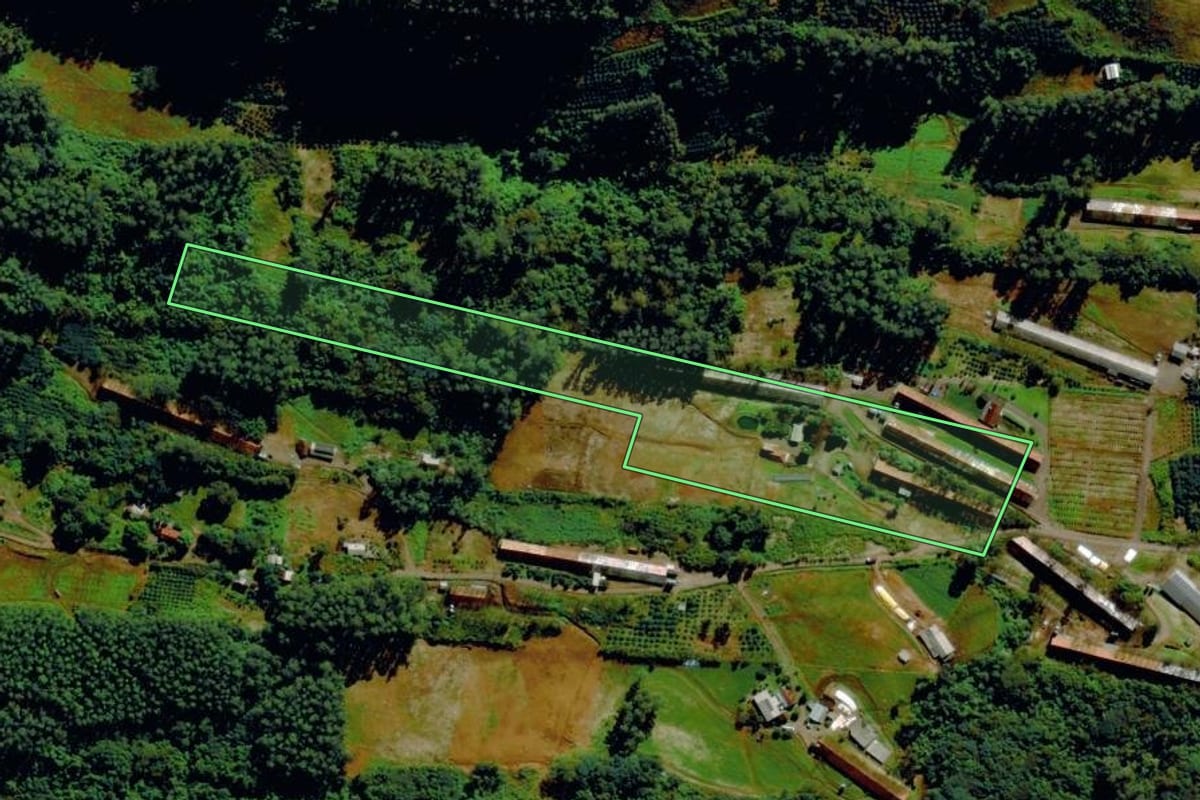 Imagem de satélite do imóvel rural em Tupandi (RS), com o contorno declarado no CAR desenhado por cima.