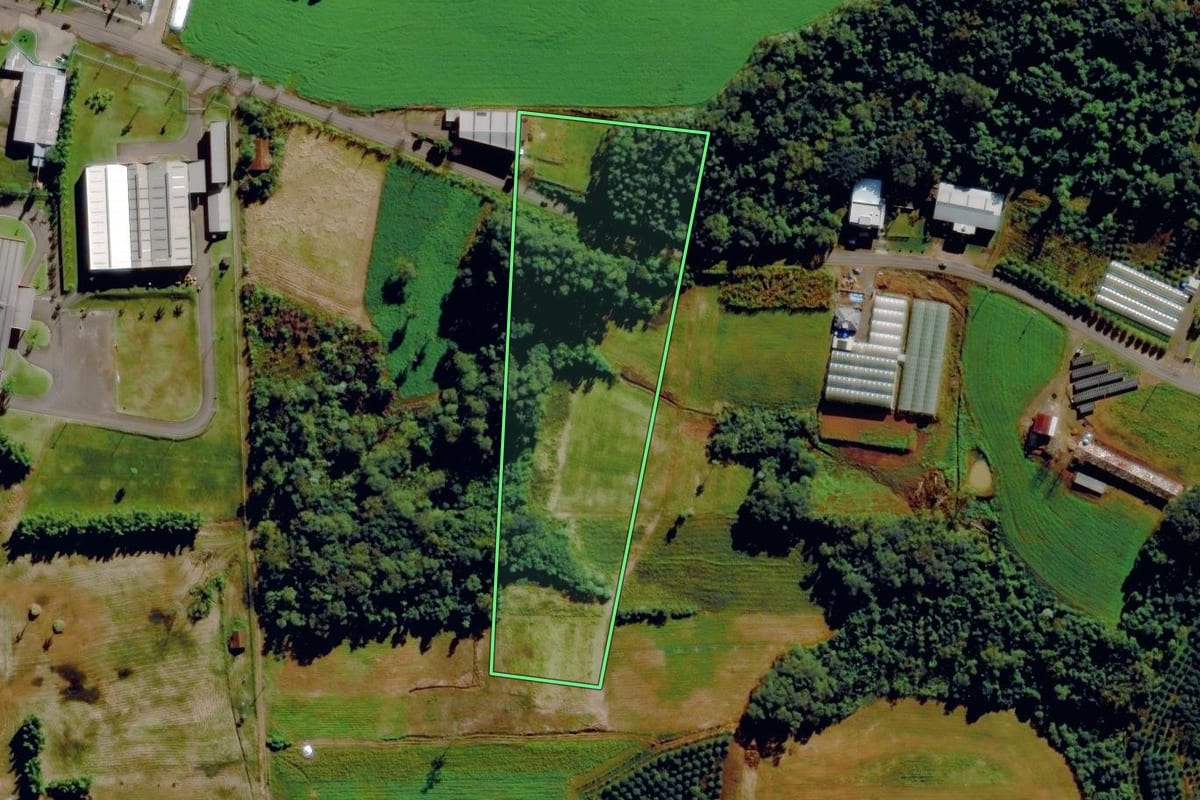 Imagem de satélite do imóvel rural em Tupandi (RS), com o contorno declarado no CAR desenhado por cima.