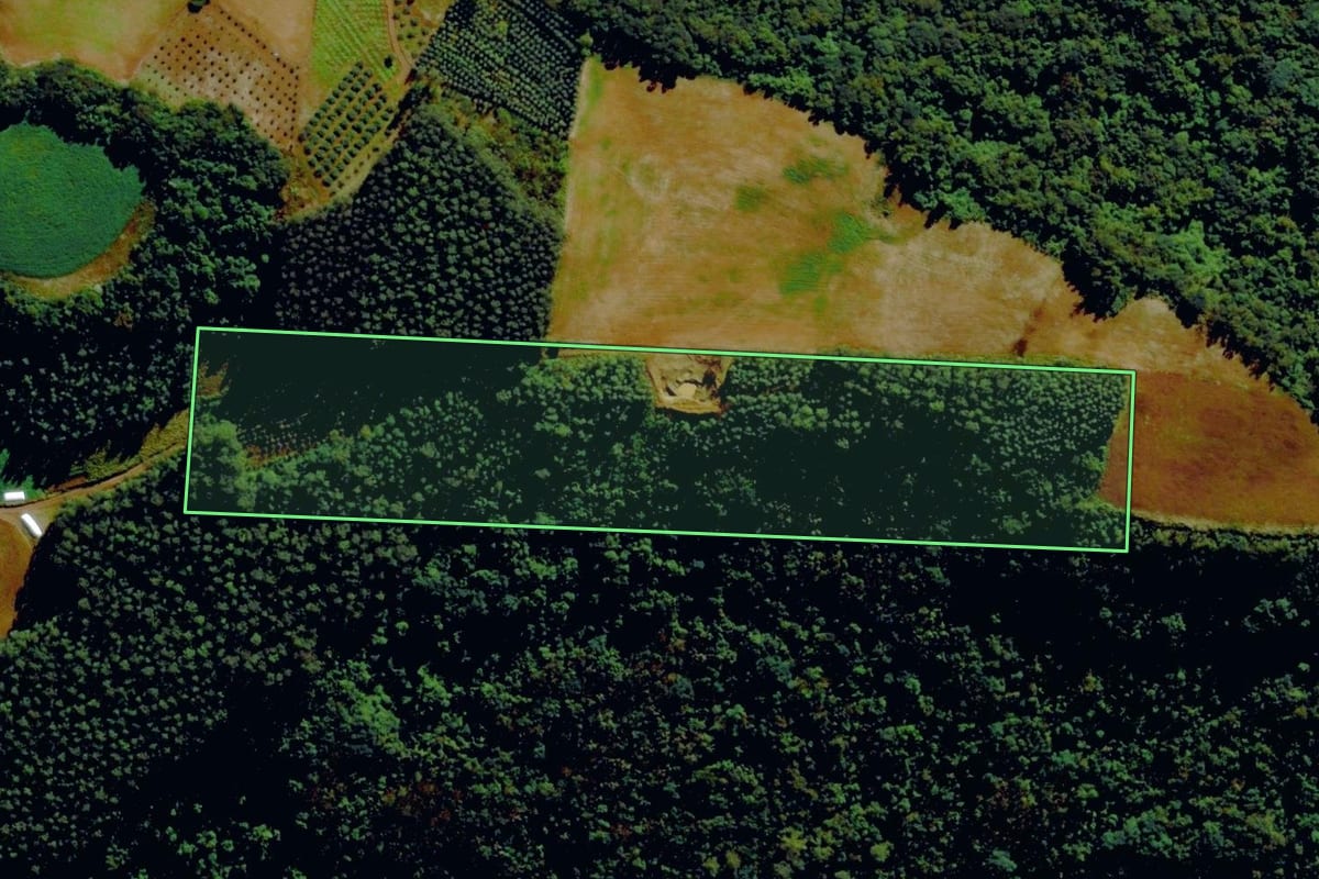 Imagem de satélite do imóvel rural em Tupandi (RS), com o contorno declarado no CAR desenhado por cima.