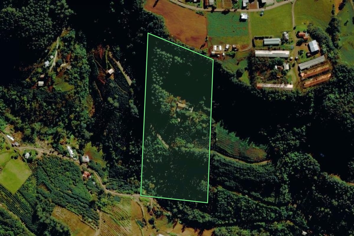 Imagem de satélite do imóvel rural em Tupandi (RS), com o contorno declarado no CAR desenhado por cima.