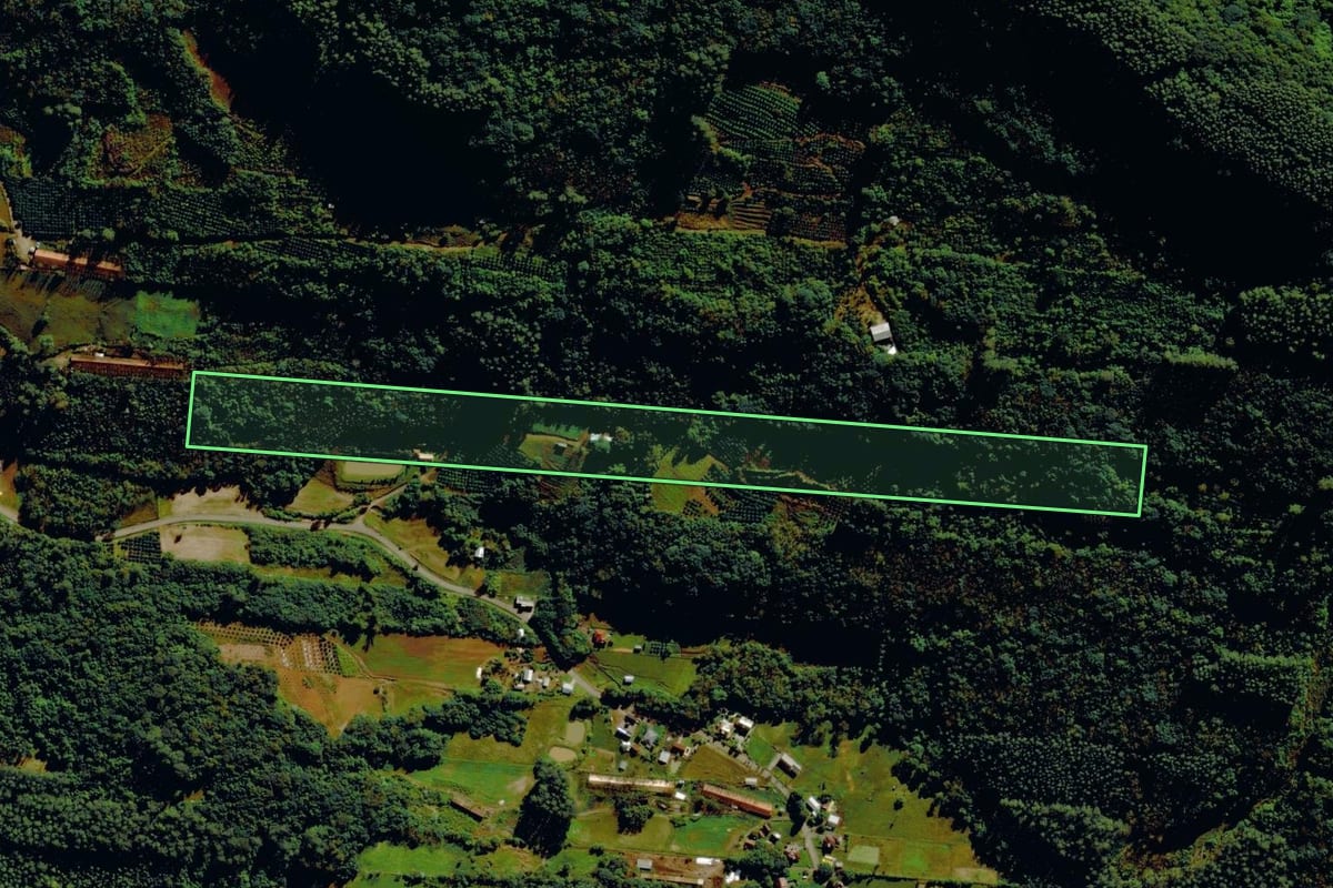 Imagem de satélite do imóvel rural em Tupandi (RS), com o contorno declarado no CAR desenhado por cima.