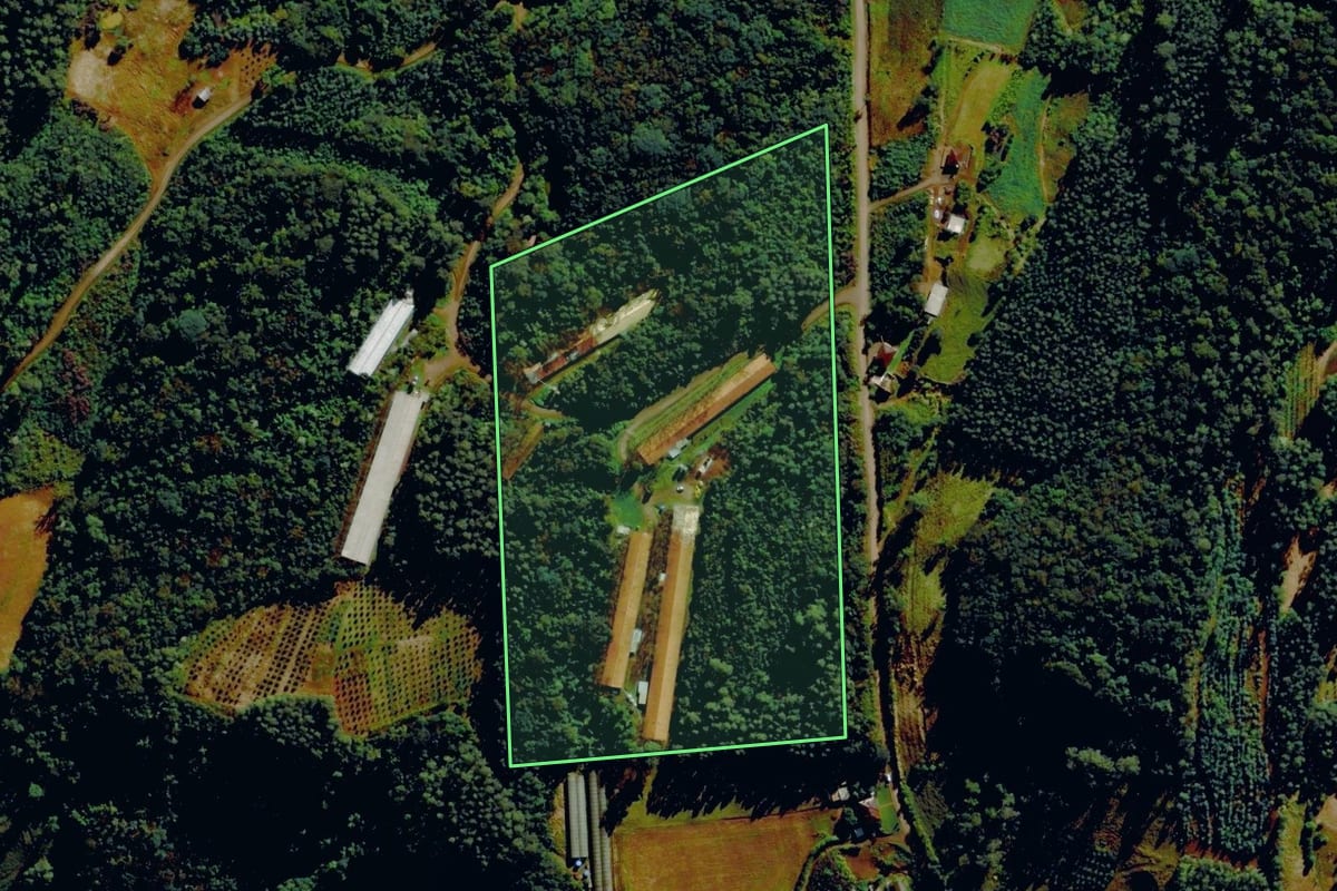 Imagem de satélite do imóvel rural em Tupandi (RS), com o contorno declarado no CAR desenhado por cima.