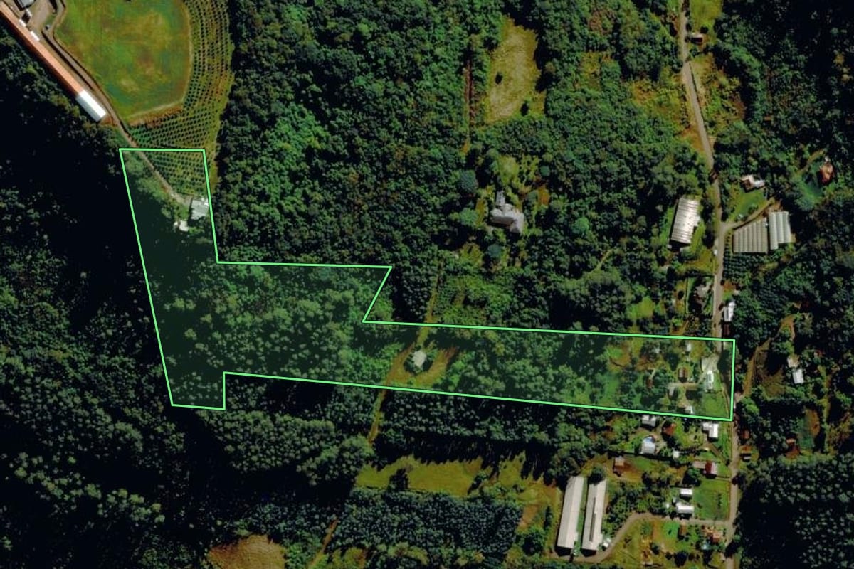Imagem de satélite do imóvel rural em Tupandi (RS), com o contorno declarado no CAR desenhado por cima.