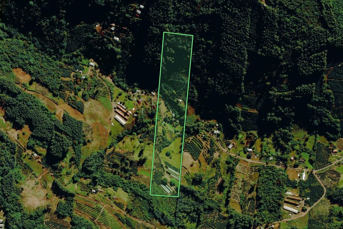 Imagem de satélite do imóvel rural em Tupandi (RS), com o contorno declarado no CAR desenhado por cima.