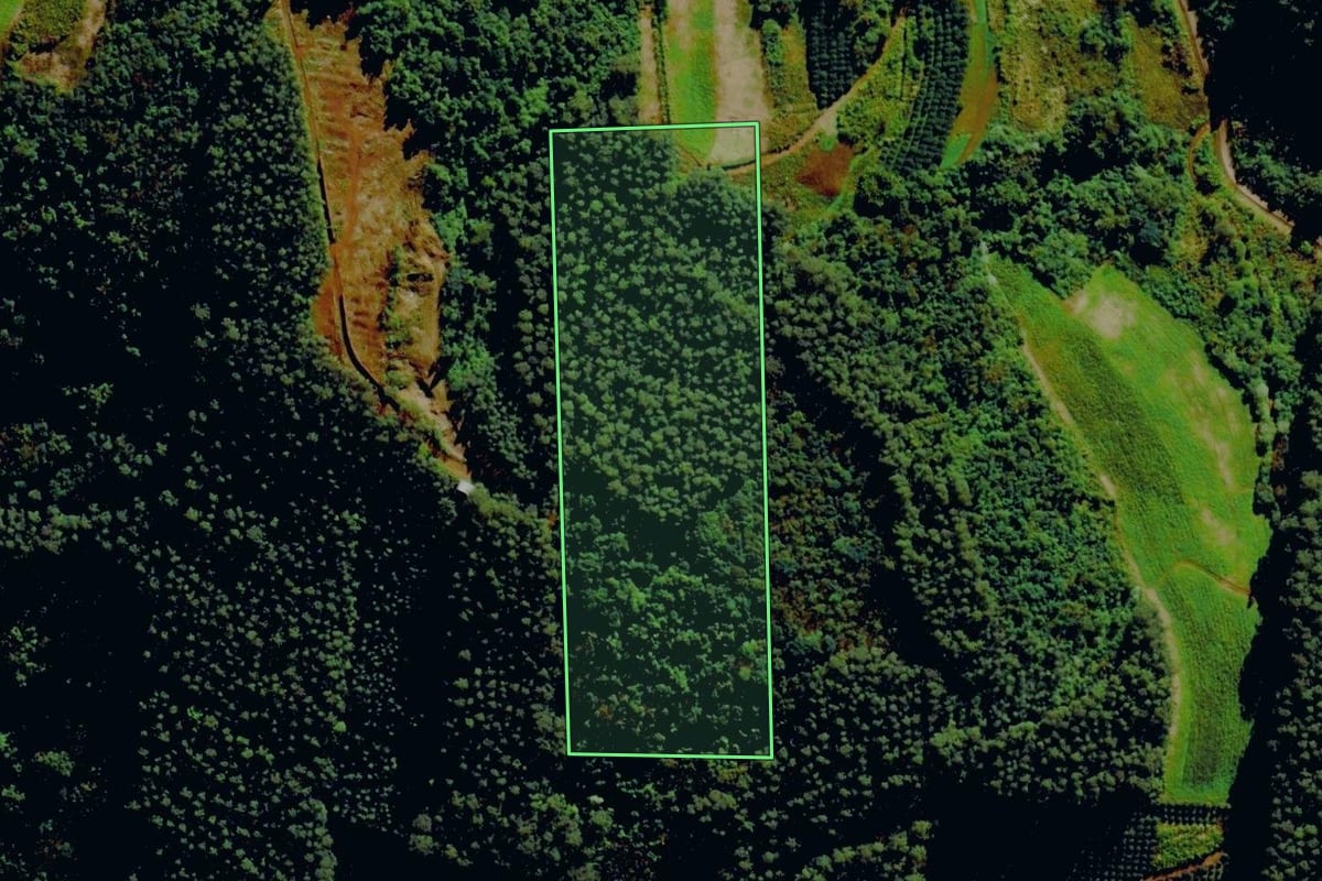 Imagem de satélite do imóvel rural em Tupandi (RS), com o contorno declarado no CAR desenhado por cima.