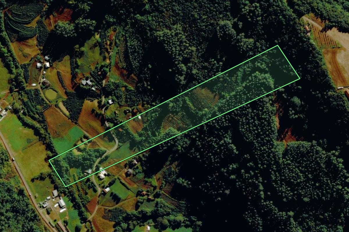Imagem de satélite do imóvel rural em Tupandi (RS), com o contorno declarado no CAR desenhado por cima.