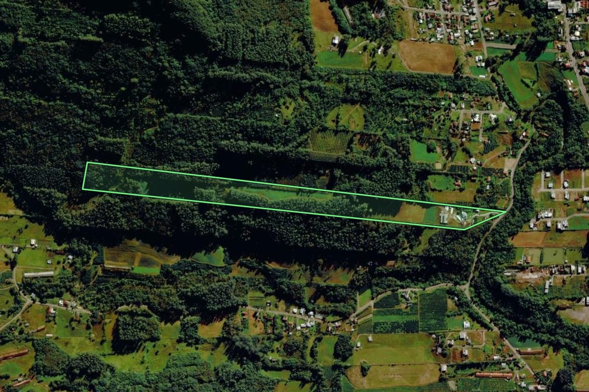 Imagem de satélite do imóvel rural em Tupandi (RS), com o contorno declarado no CAR desenhado por cima.