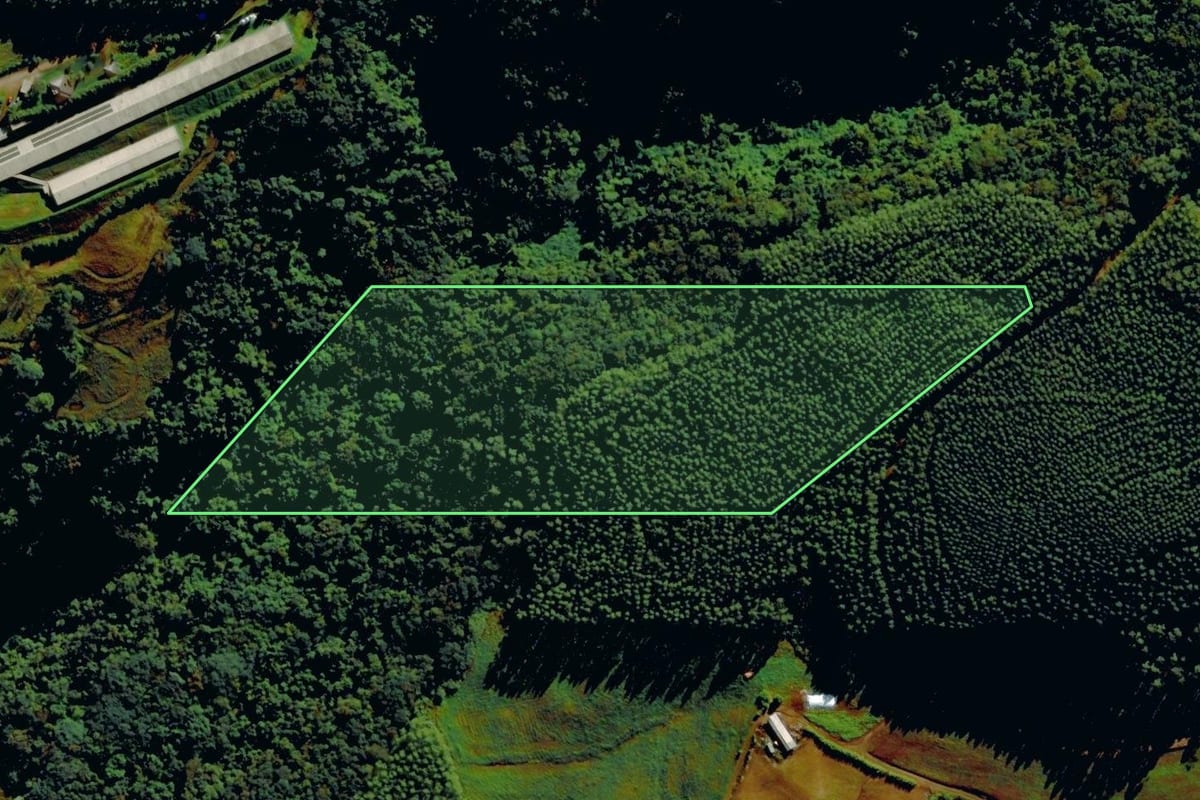Imagem de satélite do imóvel rural em Tupandi (RS), com o contorno declarado no CAR desenhado por cima.