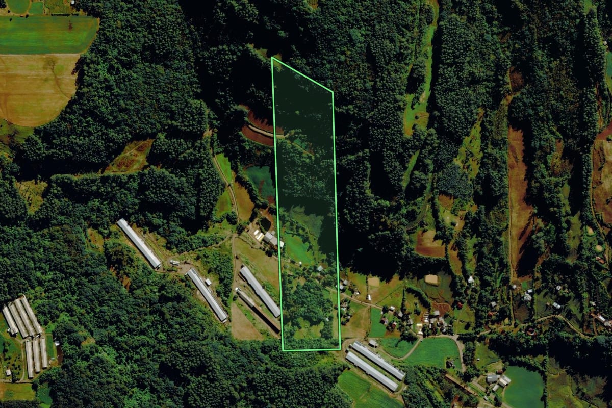 Imagem de satélite do imóvel rural em Tupandi (RS), com o contorno declarado no CAR desenhado por cima.