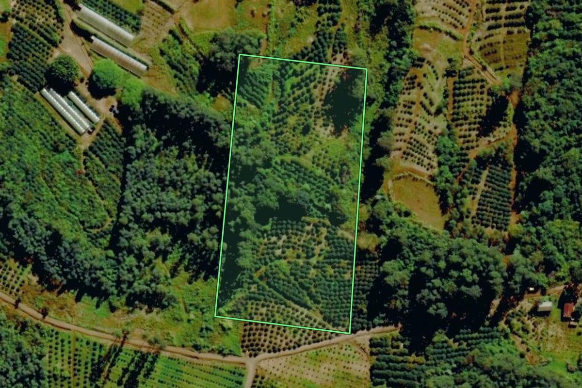 Imagem de satélite do imóvel rural em Tupandi (RS), com o contorno declarado no CAR desenhado por cima.