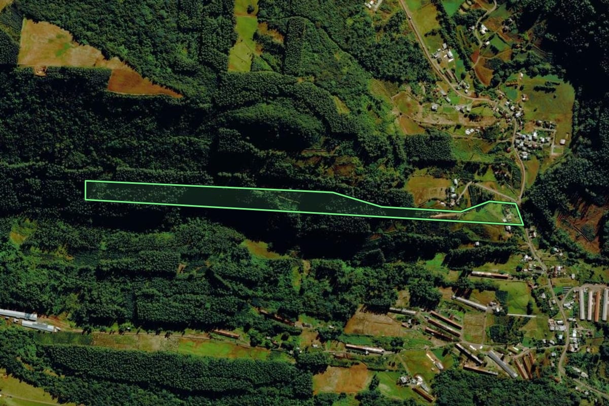 Imagem de satélite do imóvel rural em Tupandi (RS), com o contorno declarado no CAR desenhado por cima.