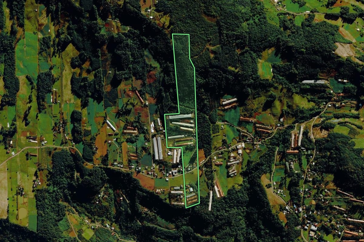 Imagem de satélite do imóvel rural em Tupandi (RS), com o contorno declarado no CAR desenhado por cima.