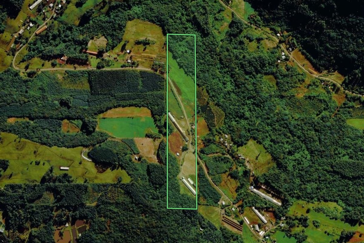 Imagem de satélite do imóvel rural em Tupandi (RS), com o contorno declarado no CAR desenhado por cima.