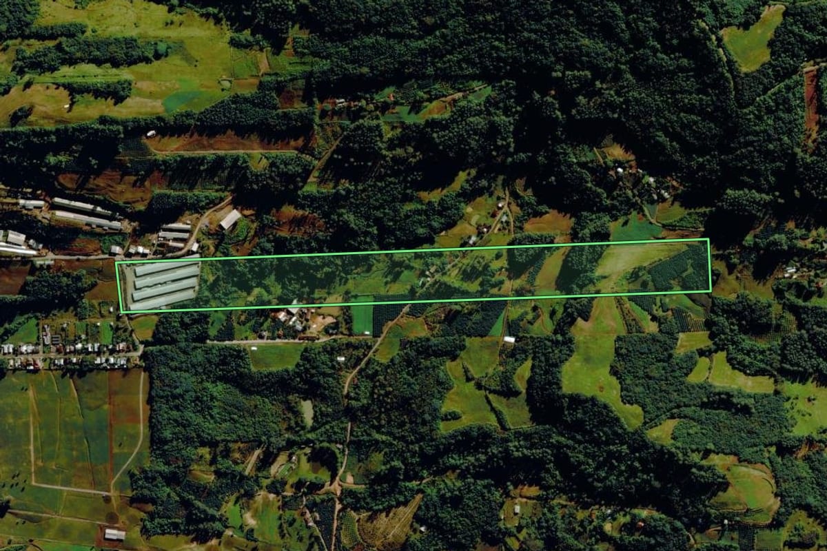 Imagem de satélite do imóvel rural em Tupandi (RS), com o contorno declarado no CAR desenhado por cima.