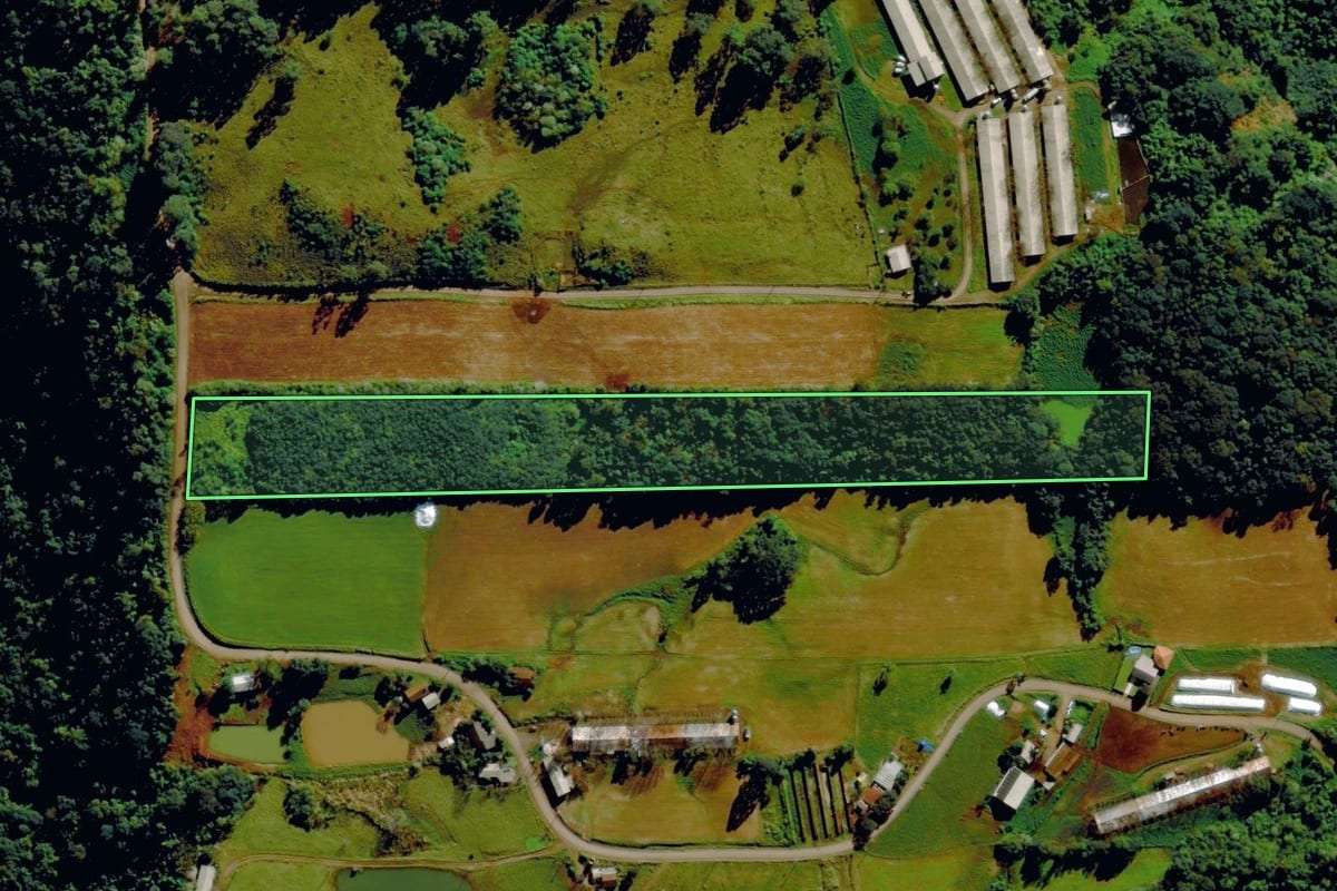Imagem de satélite do imóvel rural em Tupandi (RS), com o contorno declarado no CAR desenhado por cima.