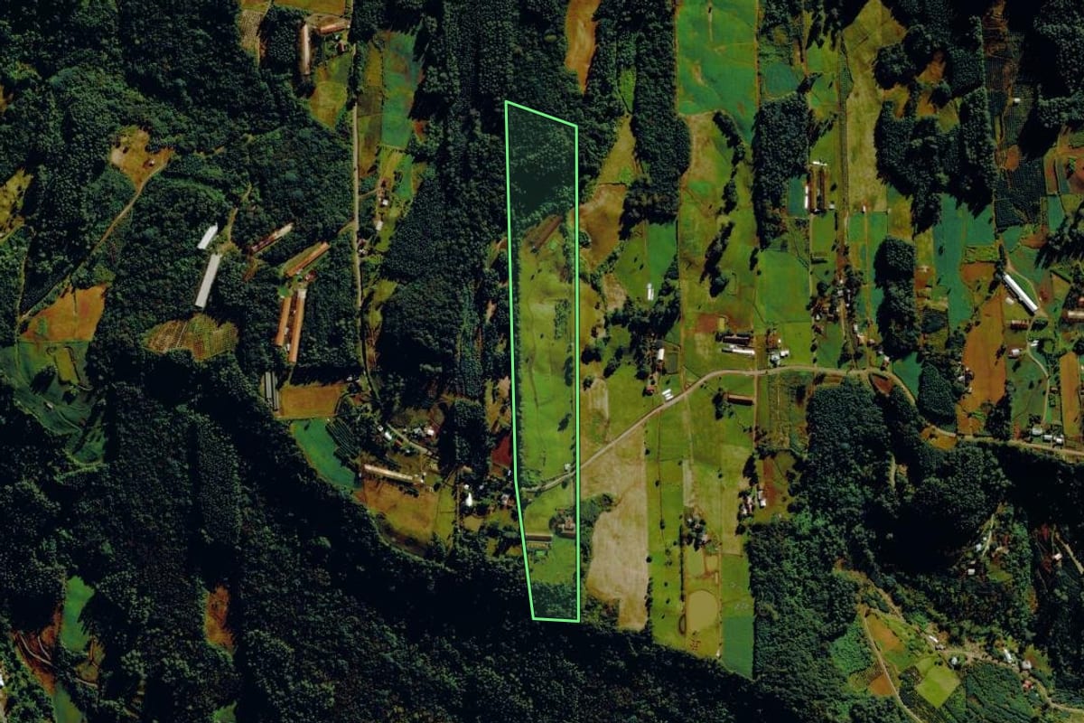 Imagem de satélite do imóvel rural em Tupandi (RS), com o contorno declarado no CAR desenhado por cima.