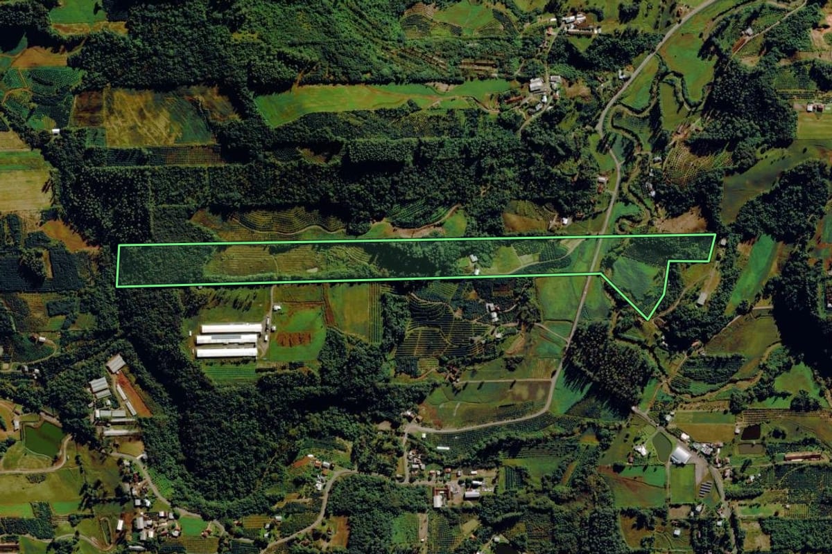 Imagem de satélite do imóvel rural em Tupandi (RS), com o contorno declarado no CAR desenhado por cima.