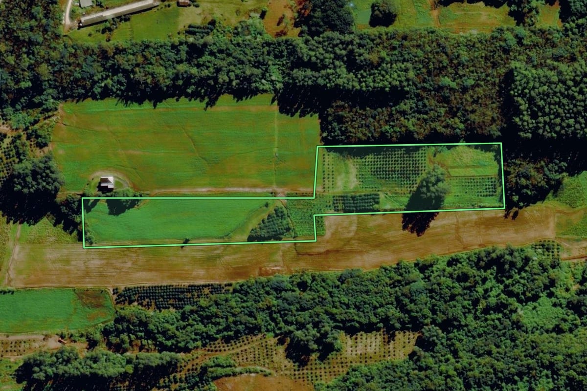 Imagem de satélite do imóvel rural em Tupandi (RS), com o contorno declarado no CAR desenhado por cima.