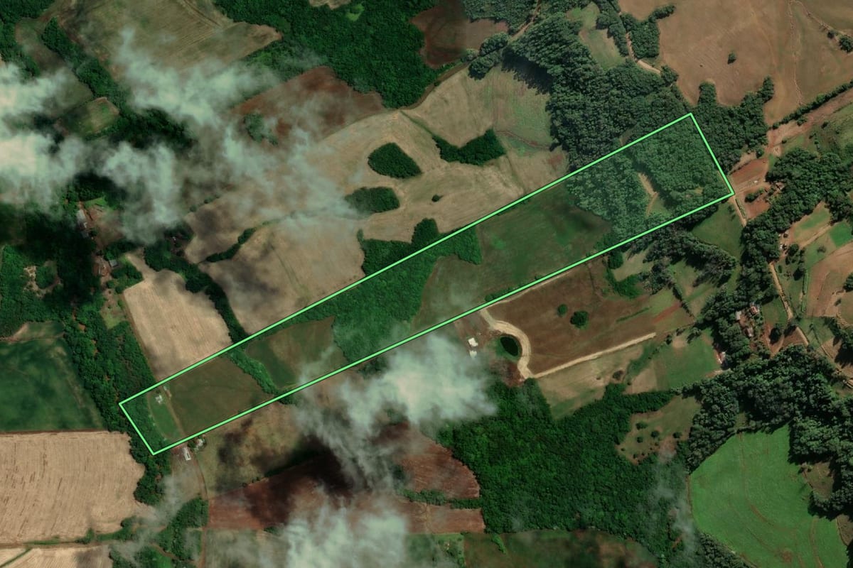 Imagem de satélite do imóvel rural em Tuparendi (RS), com o contorno declarado no CAR desenhado por cima.