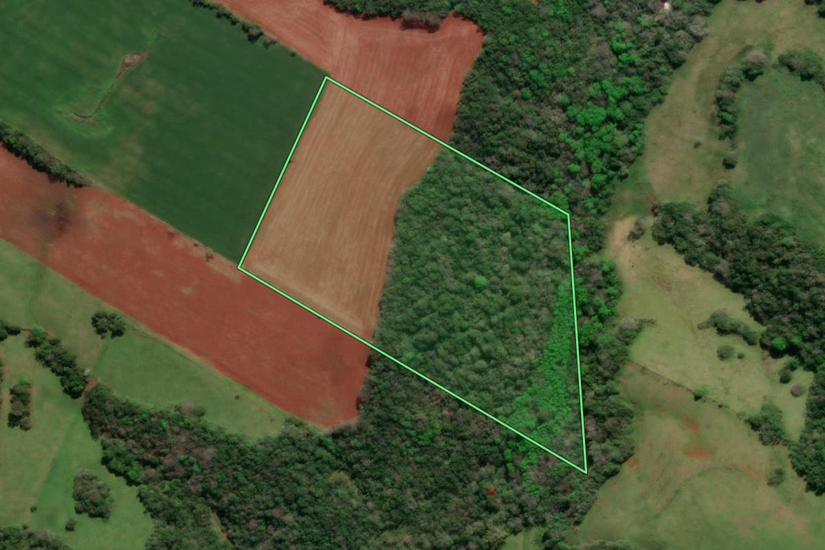 Imagem de satélite do imóvel rural em Tuparendi (RS), com o contorno declarado no CAR desenhado por cima.
