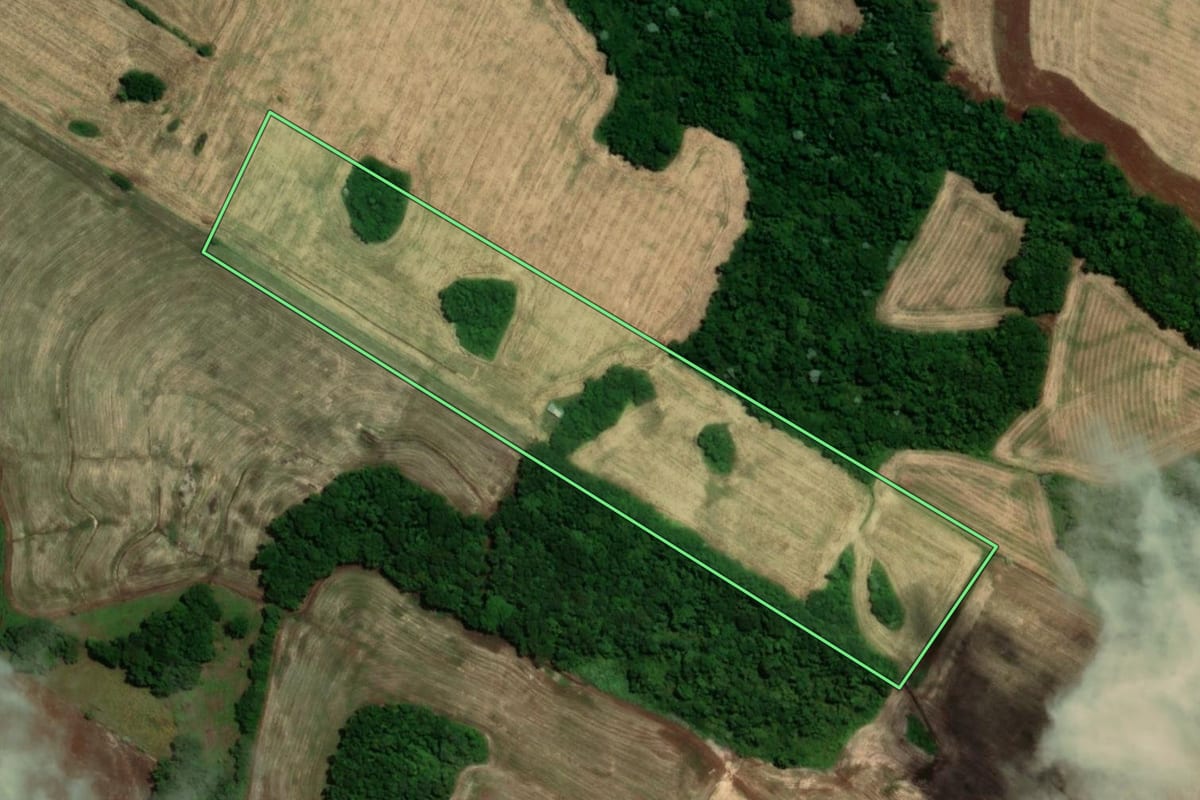 Imagem de satélite do imóvel rural em Tuparendi (RS), com o contorno declarado no CAR desenhado por cima.