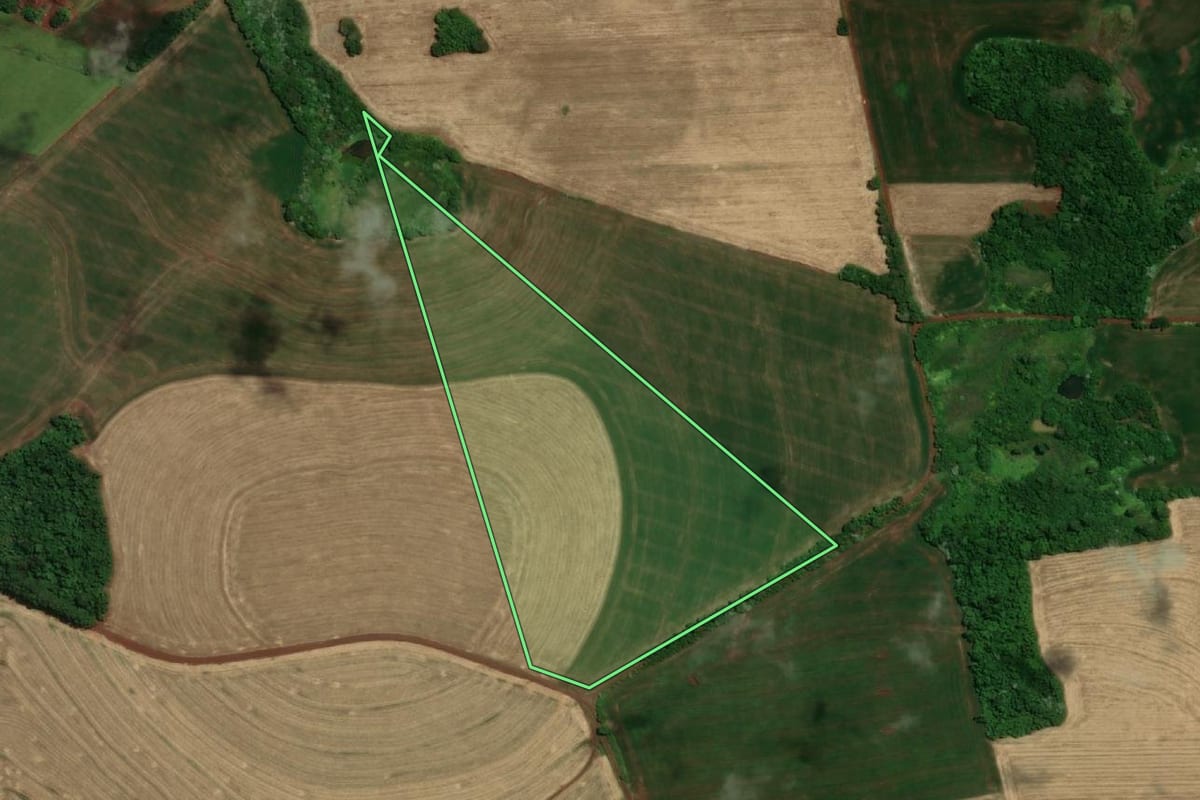 Imagem de satélite do imóvel rural em Tuparendi (RS), com o contorno declarado no CAR desenhado por cima.