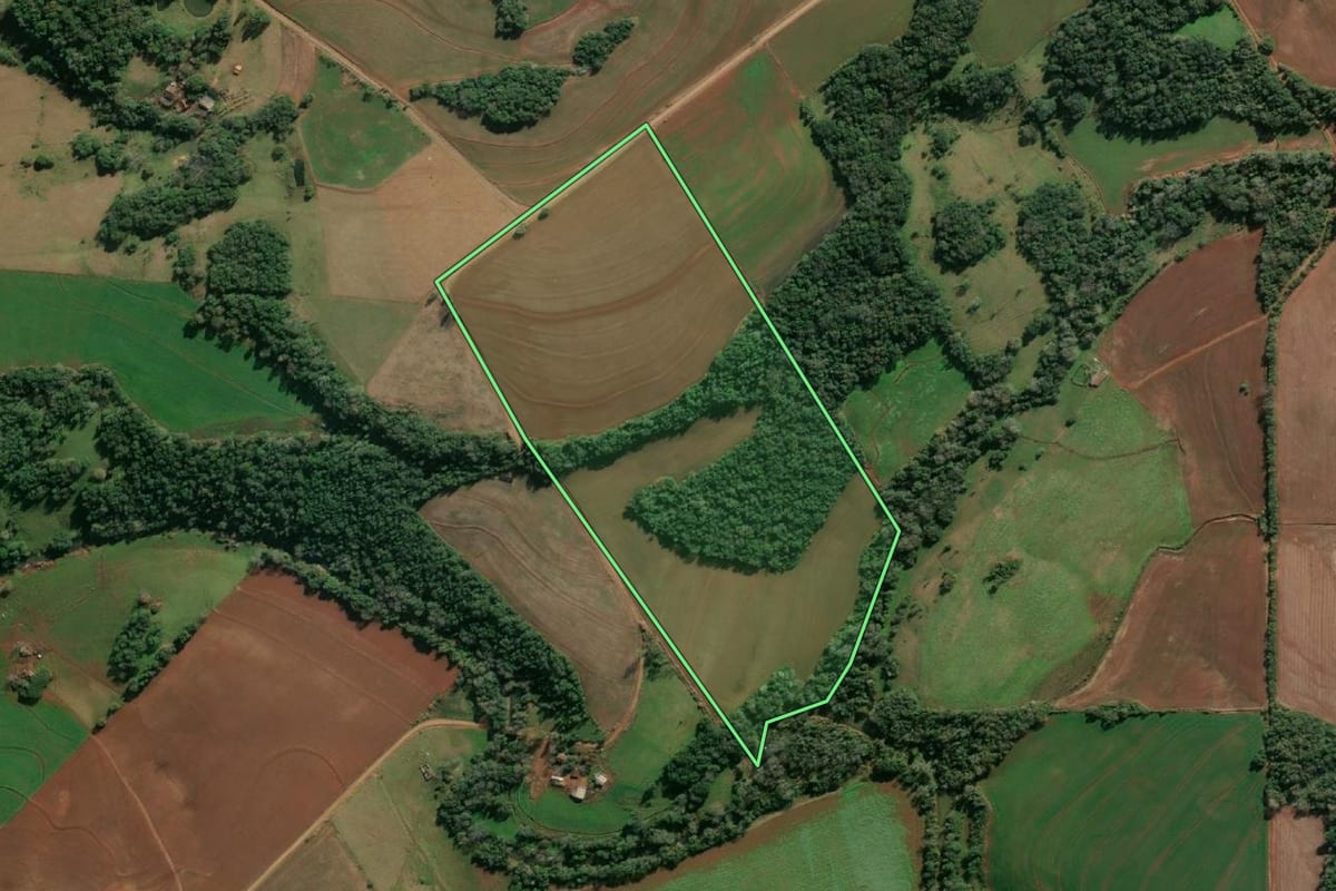 Imagem de satélite do imóvel rural em Tuparendi (RS), com o contorno declarado no CAR desenhado por cima.