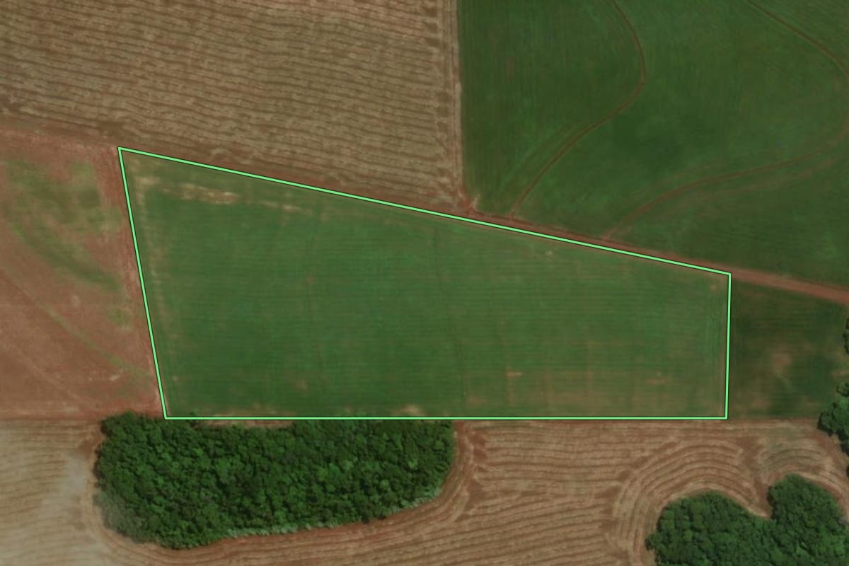 Imagem de satélite do imóvel rural em Tuparendi (RS), com o contorno declarado no CAR desenhado por cima.