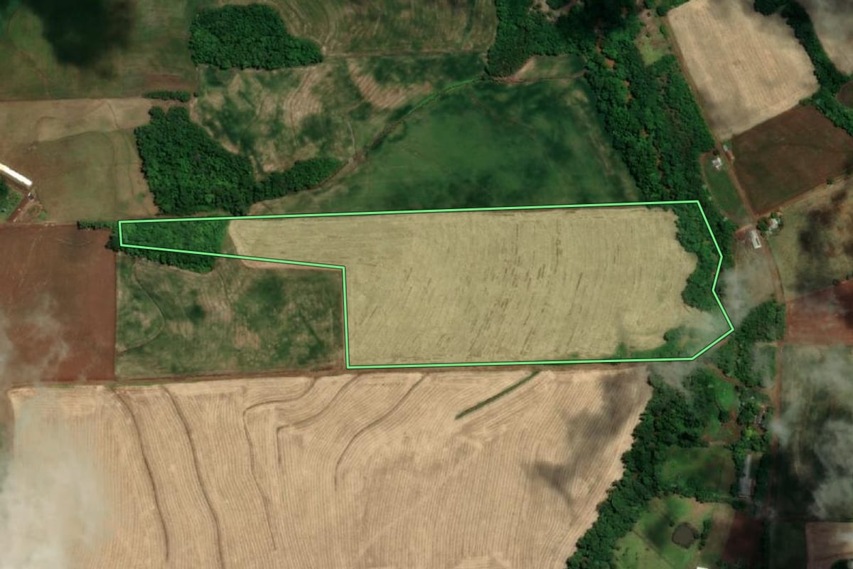 Imagem de satélite do imóvel rural em Tuparendi (RS), com o contorno declarado no CAR desenhado por cima.