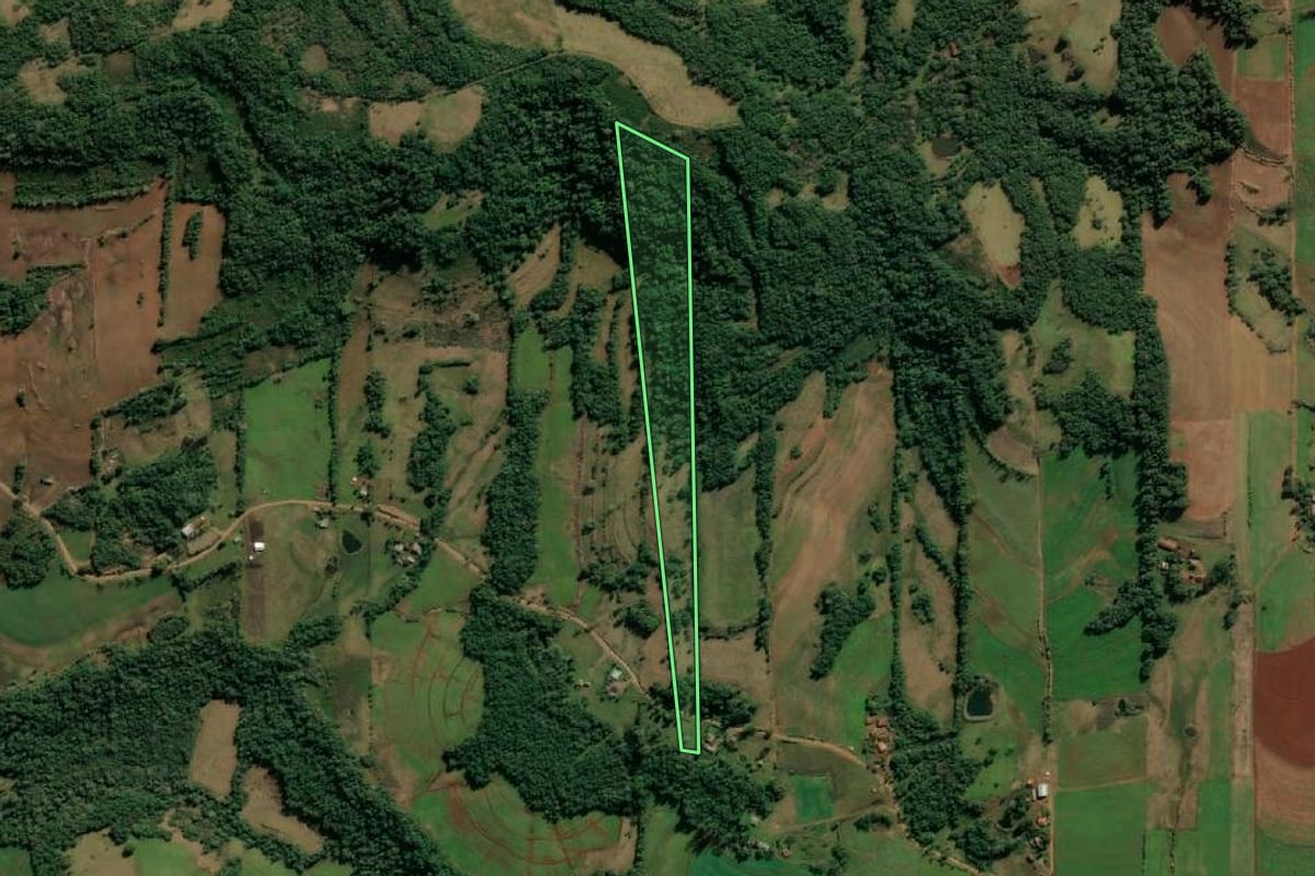 Imagem de satélite do imóvel rural em Tuparendi (RS), com o contorno declarado no CAR desenhado por cima.