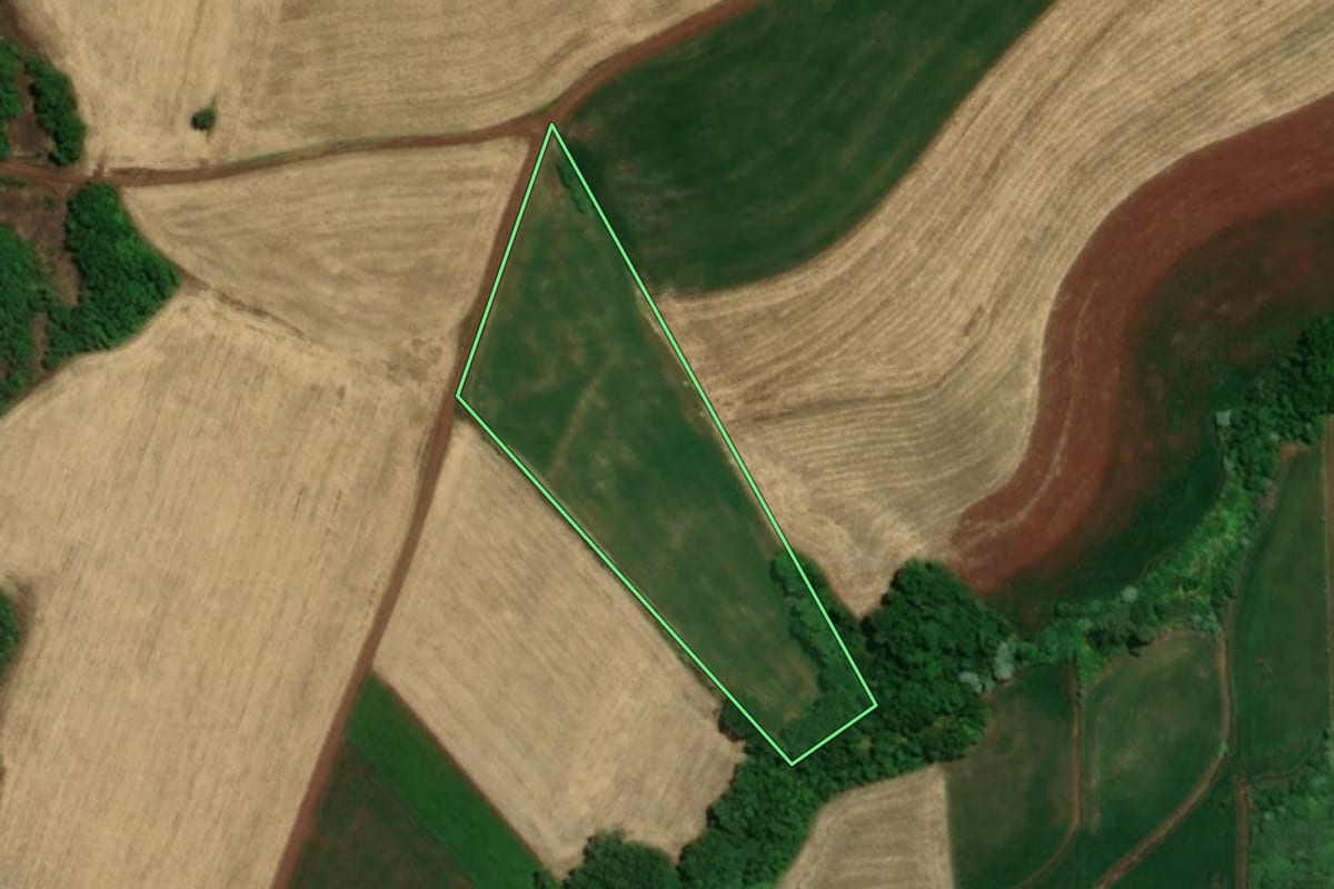 Imagem de satélite do imóvel rural em Tuparendi (RS), com o contorno declarado no CAR desenhado por cima.