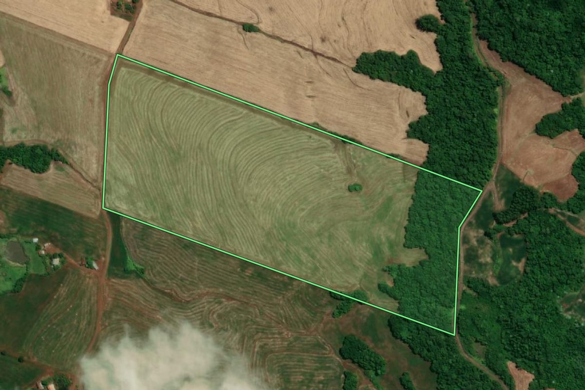 Imagem de satélite do imóvel rural em Tuparendi (RS), com o contorno declarado no CAR desenhado por cima.