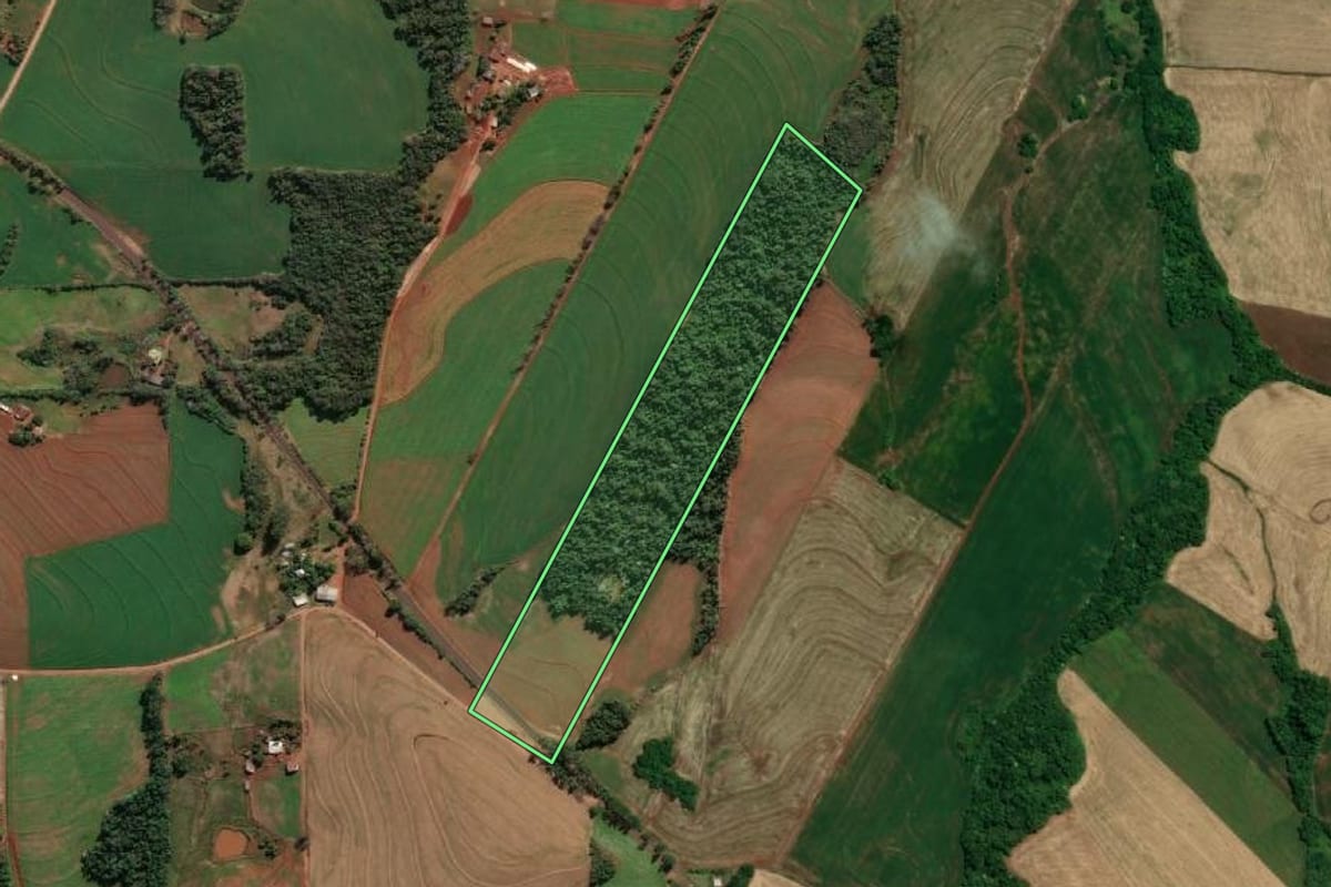 Imagem de satélite do imóvel rural em Tuparendi (RS), com o contorno declarado no CAR desenhado por cima.