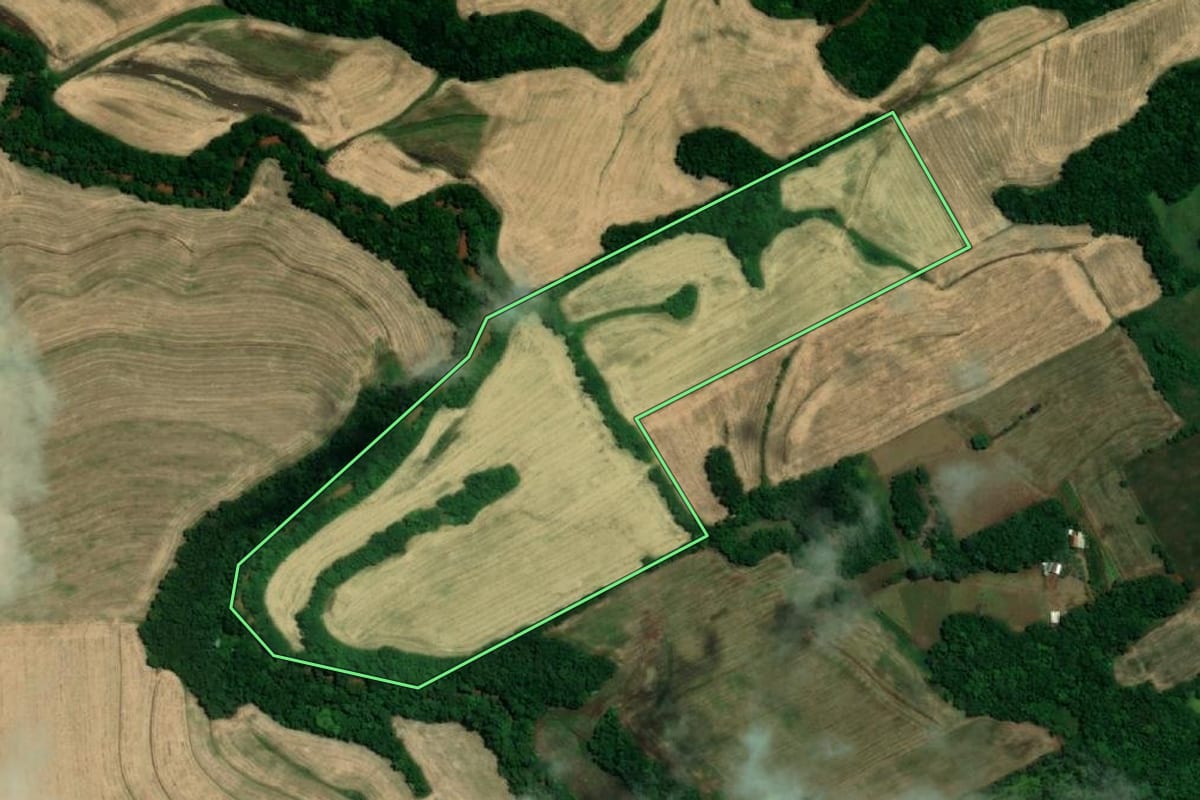 Imagem de satélite do imóvel rural em Tuparendi (RS), com o contorno declarado no CAR desenhado por cima.