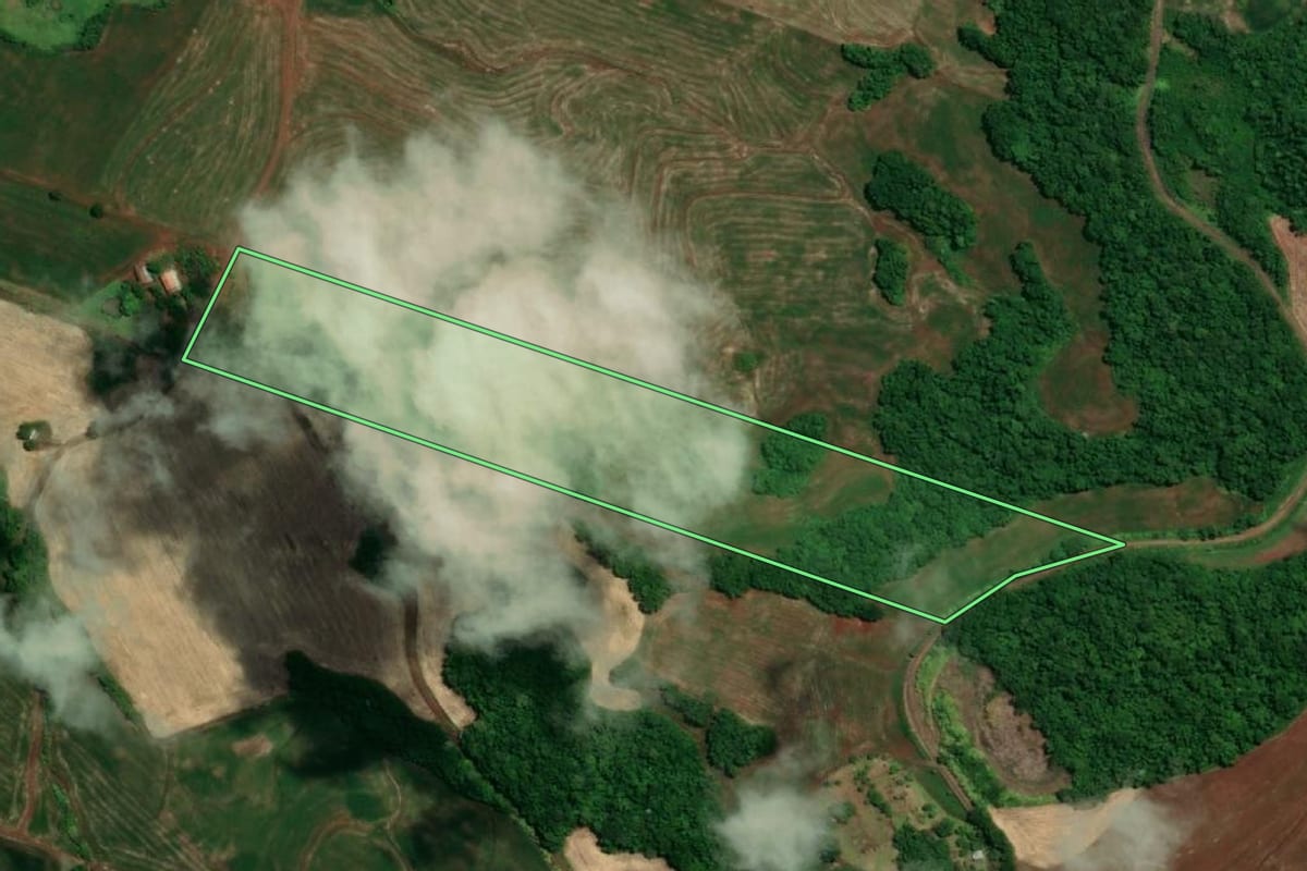 Imagem de satélite do imóvel rural em Tuparendi (RS), com o contorno declarado no CAR desenhado por cima.