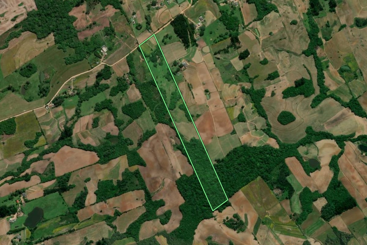 Imagem de satélite do imóvel rural em Turuçu (RS), com o contorno declarado no CAR desenhado por cima.